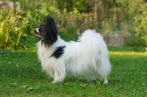 Бон Плезир Ла Амиста Бон Плезир Ла Амиста