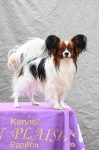 БОН ПЛЕЗИР МАРТИНЕС БОН ПЛЕЗИР МАРТИНЕС