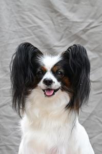 БОН ПЛЕЗИР МАДЛЕН БОН ПЛЕЗИР МАДЛЕН