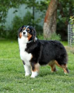 Бон Плезир Кноу ё Вэй Бон Плезир Кноу ё Вэй