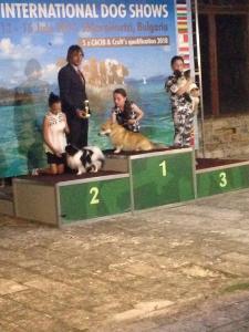 Катина внучка Мария с Милкой заняли третье место в конкурсе "Ребенок и собака"!!!