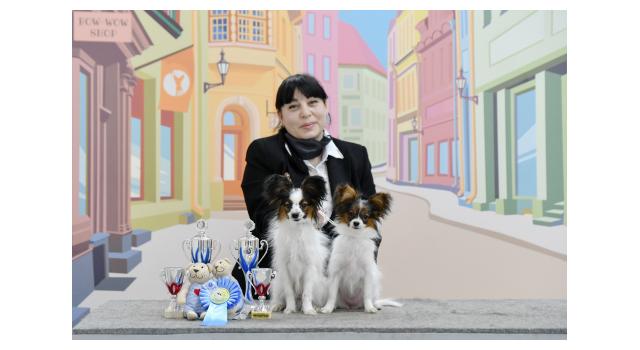 Щенки папийона (папильона) в питомнике Бон Плезир Щенки папийона (папильона) в питомнике Бон Плезир